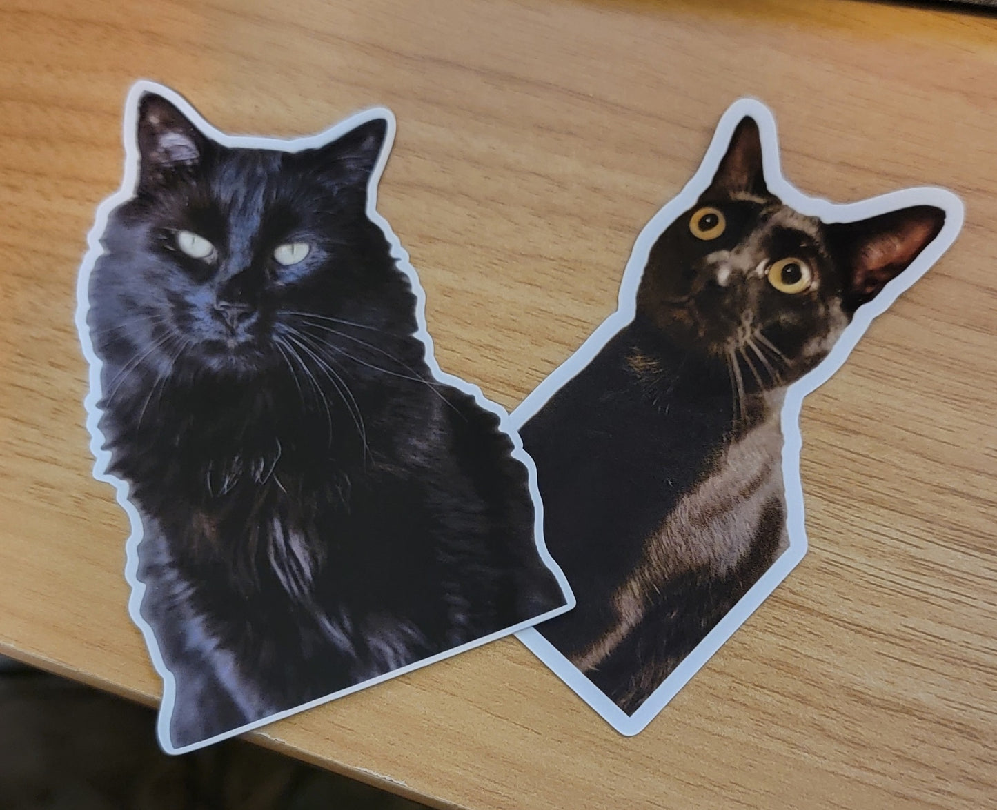 Custom Pet Sticker