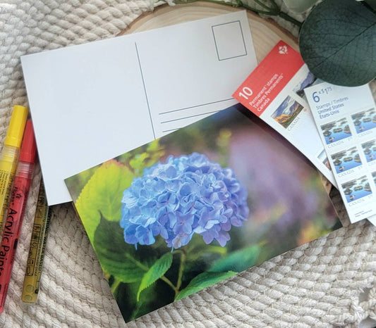 Blue Hydrangea Postcard 4x6"