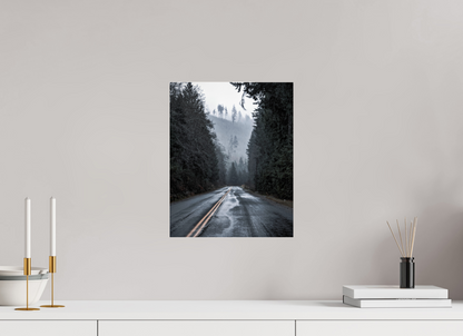 Foggy Forest Drive