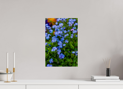 Forget-Me-Nots