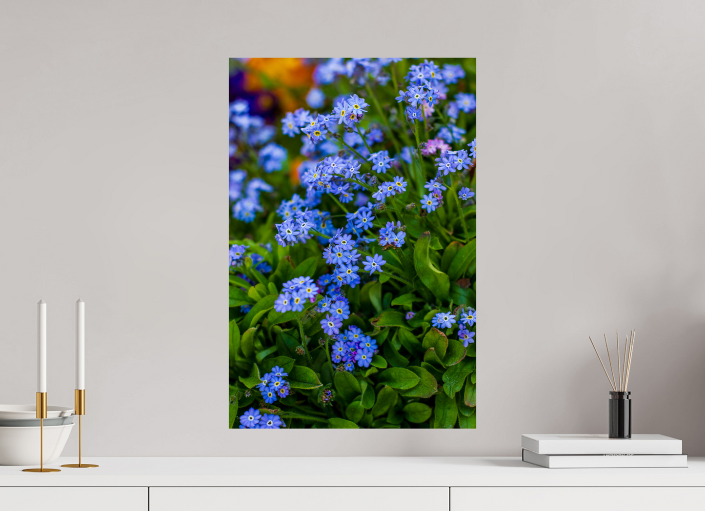 Forget-Me-Nots