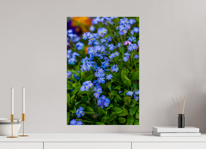 Forget-Me-Nots