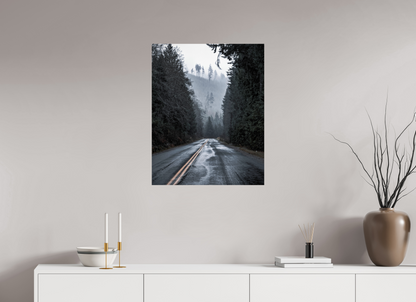 Foggy Forest Drive