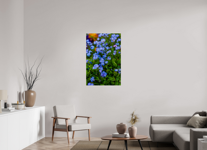 Forget-Me-Nots