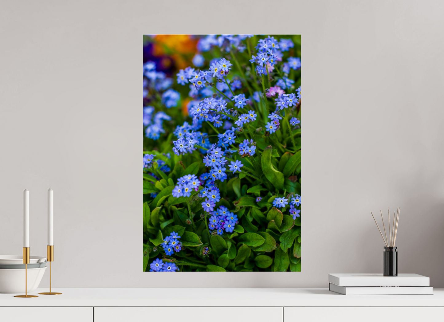 Forget-Me-Nots