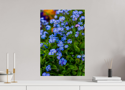 Forget-Me-Nots