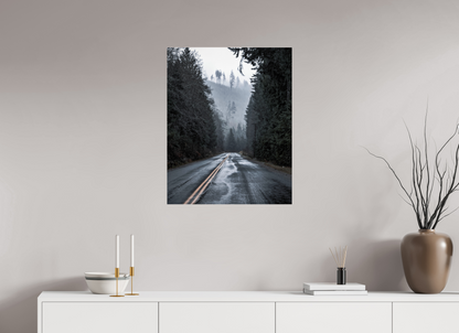 Foggy Forest Drive