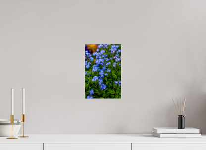 Forget-Me-Nots