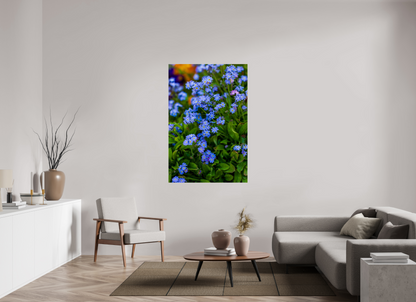 Forget-Me-Nots